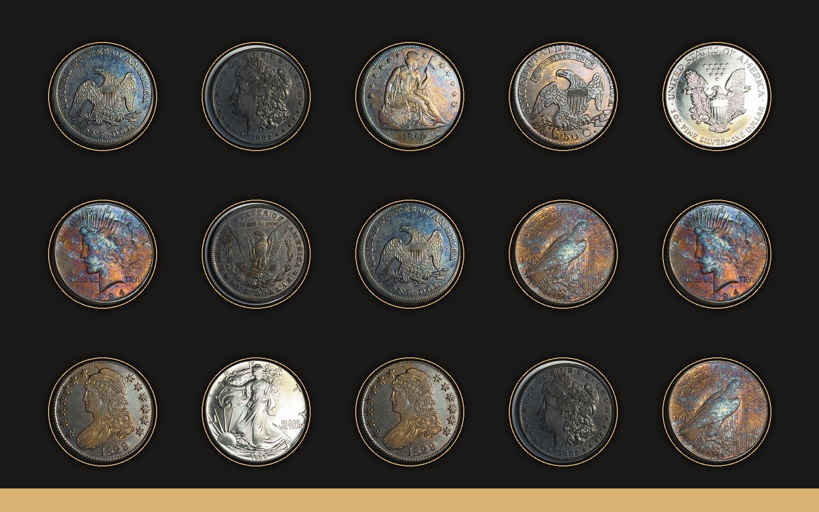 A page of toned US silver dollars and half dollars from an estate lot, photographed by Coin & Co